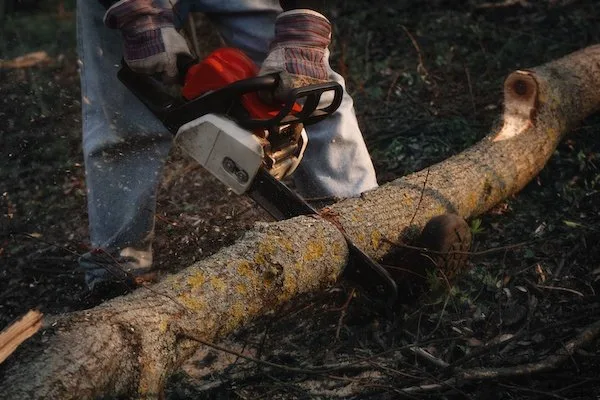 Mulching & Green Waste Removal